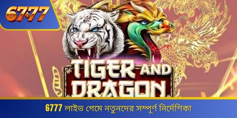 6777 লাইভ গেমে নতুনদের সম্পূর্ণ নির্দেশিকা 