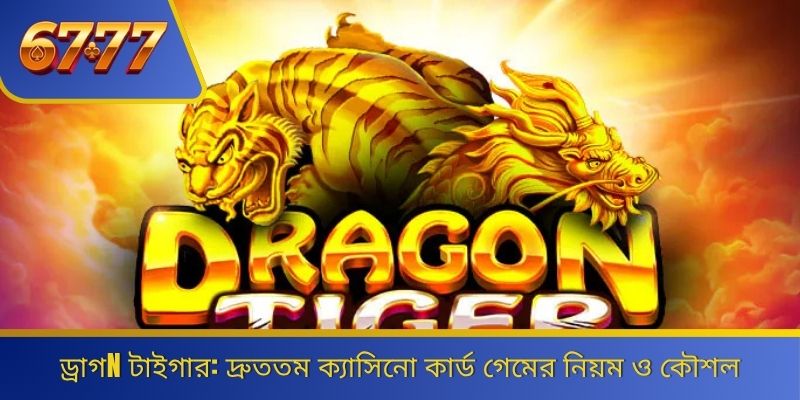 dragon tiger