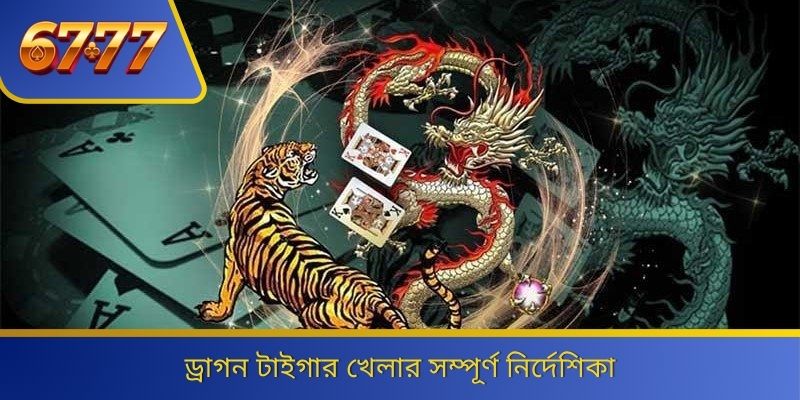 ড্রাগন টাইগার খেলার সম্পূর্ণ নির্দেশিকা 